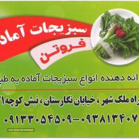 فروش سبزیجات آماده در ملک شهر 
