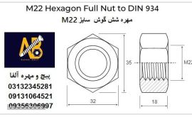 Nut M22