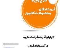 special-plan-for-calluse-product-sellers copy