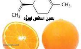 تولید اسانس پرتقال ( خمینی شهر )