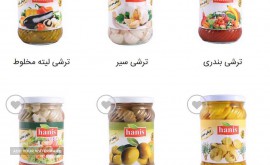 هانس ترشی1