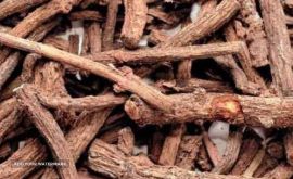 -قلم-e1661244492159