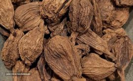 9Oq7FALxUdgOy4AFDRYhgADX6gqmA5hSD1taFbce.jpg_512X512X70