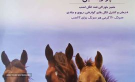 فروش خمیر ضد انگل اسب در اصفهان