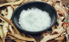 آشنایی-با-تمام-ویژگی-ها-و-خواص-کافور-scaled