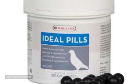 ideal-plus