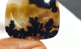 IMG_۲۰۲۳۰۳۰۱_۰۸۵۹۴۲