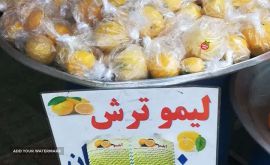 فروش لیمو ترش و نارنج بصورت عمده و جزئی در اصفهان