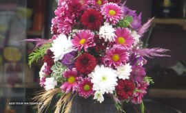 Screenshot_2023-04-10-19-38-33-800_com.miui.gallery