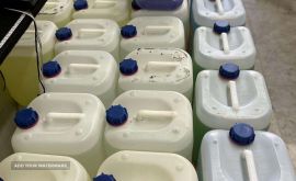 فروش ژاول بدون بو