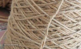 IMG-20220511-WA0008