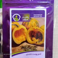 انواع بذر اصلاحی ایرانی و خارجی