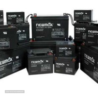 newmax-battery-1