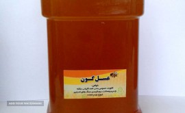 عسل-گون