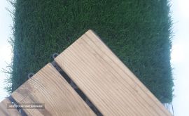 16950584970303173338583415506210