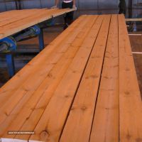 IMG_20230406_121637_607