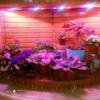 IMG_20190806_135211_879
