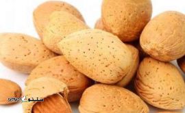 بادام سنگی در اصفهان