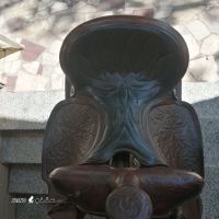 IMG_20231018_131053