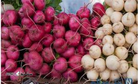 هزینه شستشوی شلغم در خیابان امام خمینی اصفهان