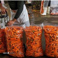 صادرات هویج به کشور عراق - هویج شویی ساحل