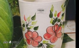 IMG_20231123_155035_006