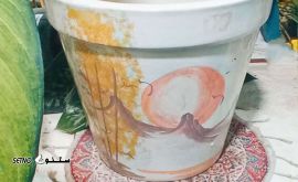 IMG_20231123_155019_674