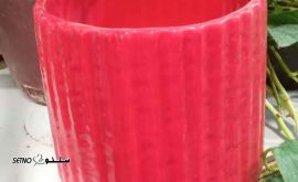 IMG_20231123_154941_296