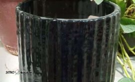 IMG_20231123_154950_076