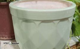 IMG_20231123_154926_003