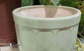 IMG_20231123_155002_223