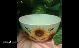 IMG_۲۰۲۳۱۱۲۷_۱۰۰۷۰۴