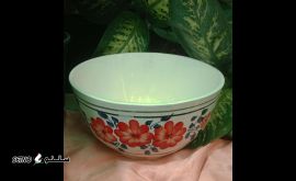 IMG_۲۰۲۳۱۱۲۷_۰۹۵۹۳۷