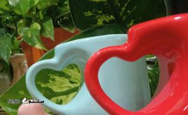 IMG_۲۰۲۳۱۱۲۳_۱۰۰۴۰۷