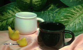 IMG_۲۰۲۳۱۱۲۷_۰۹۳۸۴۴