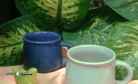 IMG_۲۰۲۳۱۱۲۷_۰۹۳۴۱۰