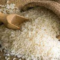  برنج طارم شمال اصفهان