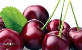 قیمت فروش نهال میوه (گیلاس و آلبالو) در اصفهان خیابان آتشگاه