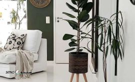 IMG_20231224_095922_094