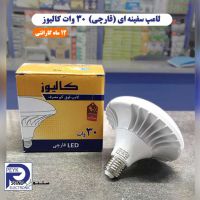 30-watt-led-mushroom-model-calluse-bulb-light
