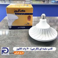 esfahan-representation-of-calluse-led-70-watt-led-mushroom-bulb-light