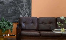 IMG_20240123_202948_284