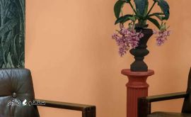 IMG_20240123_202948_333