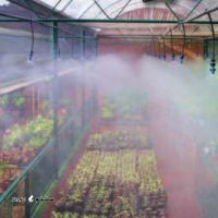 قیمت و خرید شیلنگ مه پاش مناسب آبرسانی باغ و گلخانه 
