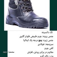 خرید و قیمت کفش ایمنی پادکس تک دانسیته در اصفهان