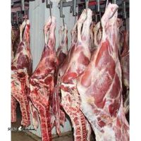 قیمت خرید و فروش گوشت گوساله اصفهان
