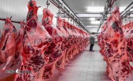 قیمت خرید و فروش گوشت گوسفند دراصفهان