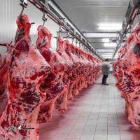 قیمت خرید و فروش گوشت گوسفند دراصفهان