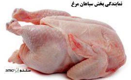 پخش عمده مرغ شمال در سه راه صمدیه اصفهان