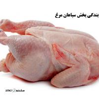 پخش عمده مرغ سپاهان / سپاهان مرغ در اصفهان